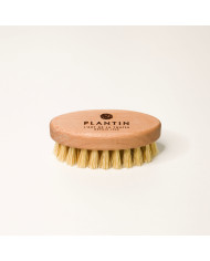 Brosse à truffes - Plantin