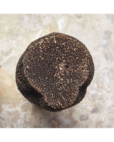 Morceaux de truffes noires d'Australie 50g | PLANTIN