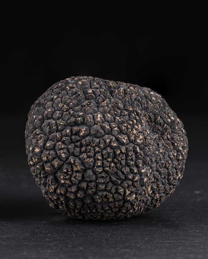 Fresh whole black Australian truffles