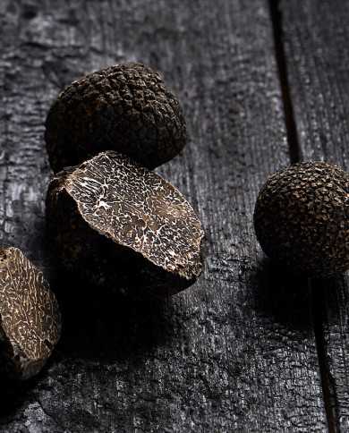 Truffes noires d'Australie entières, fraîches