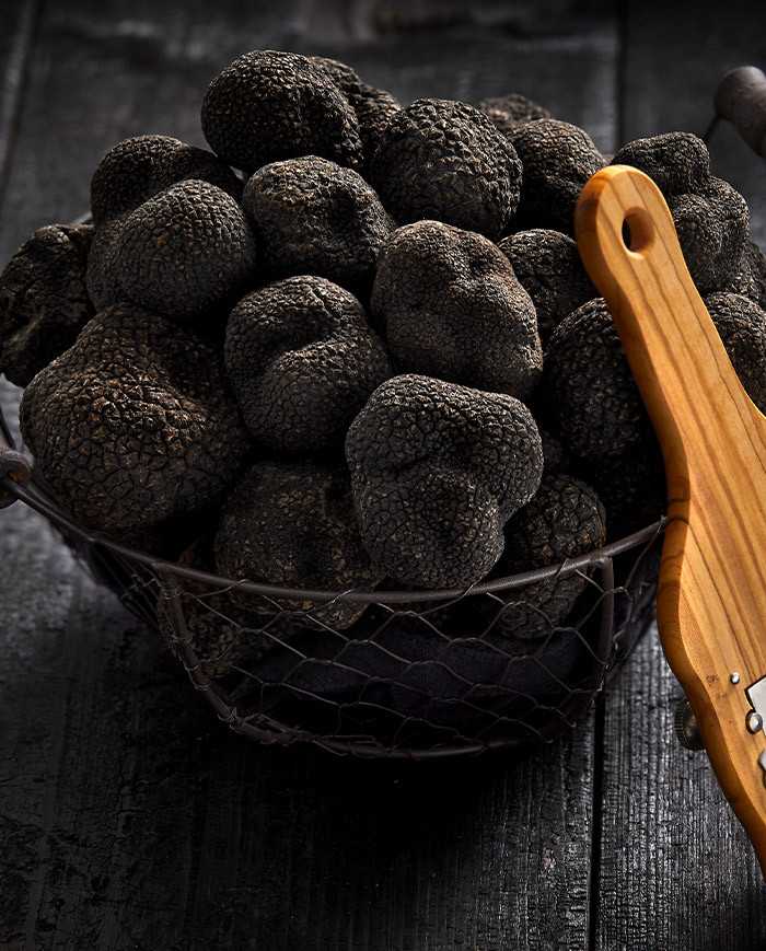 Fresh whole black Australian truffles