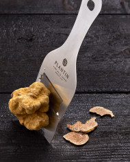 Truffe blanche d'Alba fraîche 15g |  PLANTIN - L'art de la truffe