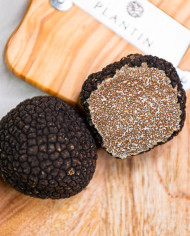 Truffe de Bourgogne fraîche 50g | PLANTIN - L'art de la truffe