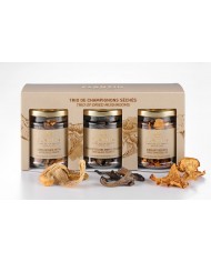 Trio aus getrockneten Pilzen