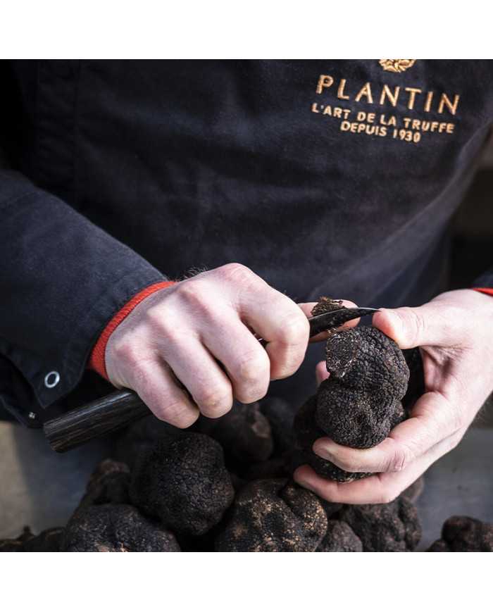 Morceaux de truffes noires fraîches 50g   |  PLANTIN