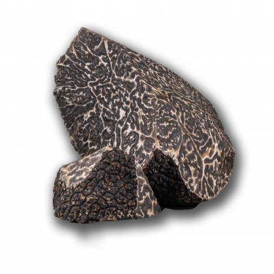 Morceaux de truffes noires fraîches 1kg   |  PLANTIN