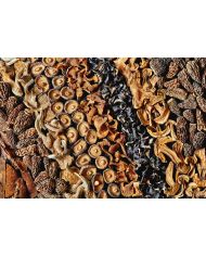 Mix di funghi di bosco secchi - 500g