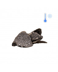 Congelato Scaglie di Tartufo nero - 100g