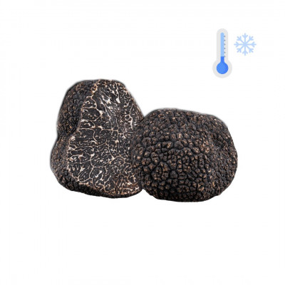 Truffes noires surgelées entières - Plantin L'art de la Truffe