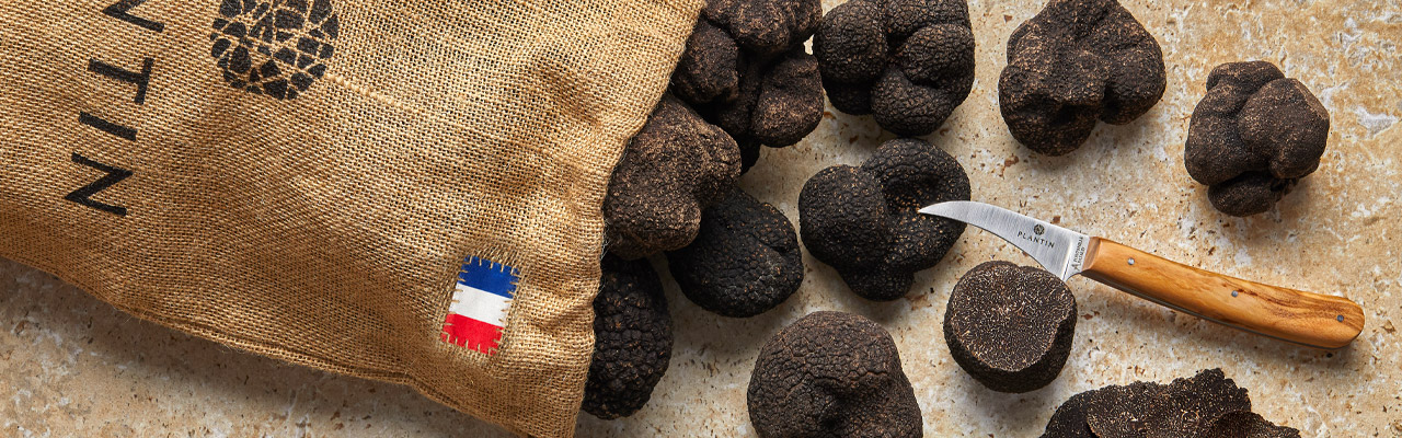 Achat truffe noire