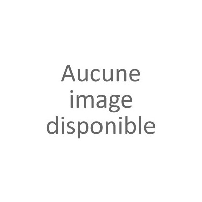 Morilles sauvages séchées extra - 25g