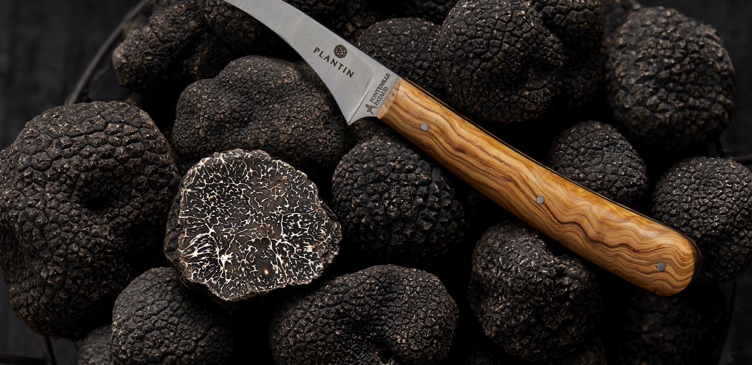 Comment conserver la truffe noire ?