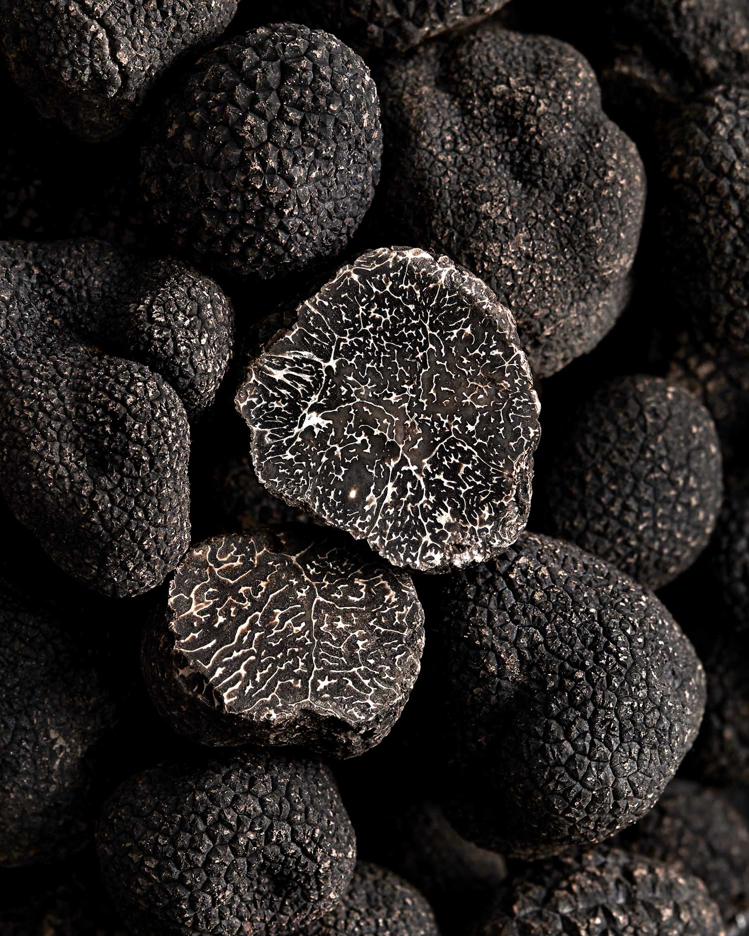 Comment conserver la truffe noire ?