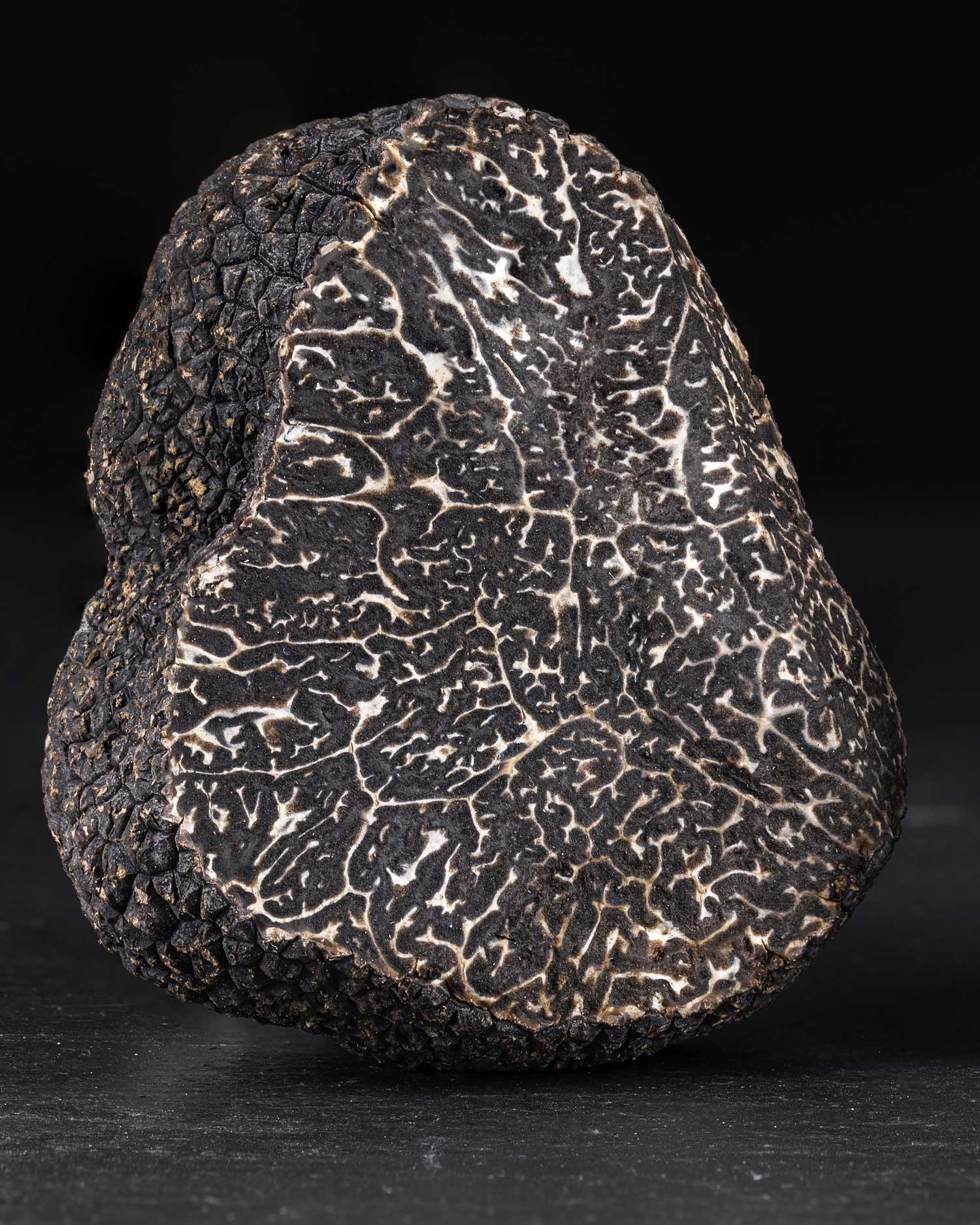 La fête de la Truffe Noire