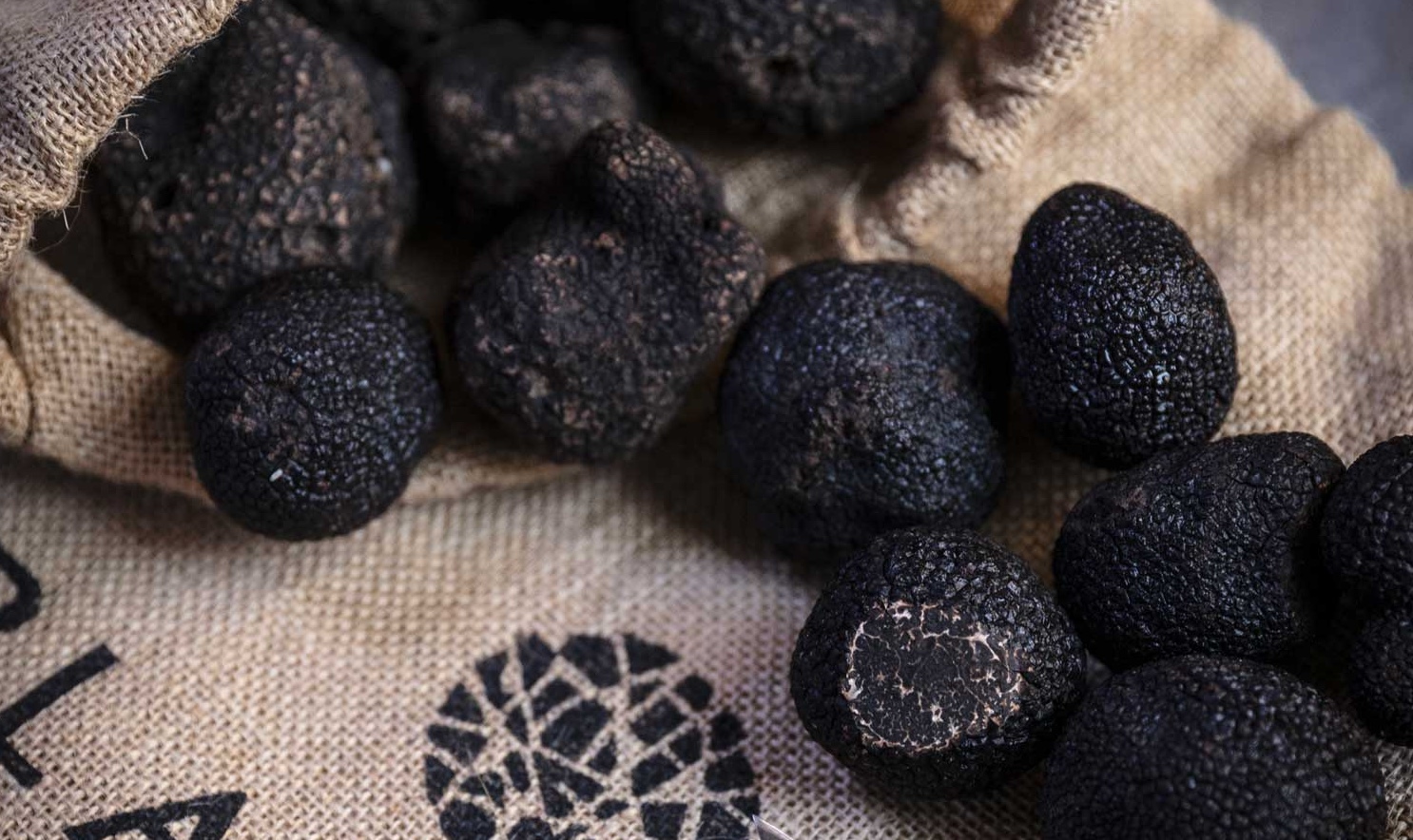 Comment conserver la truffe noire ?
